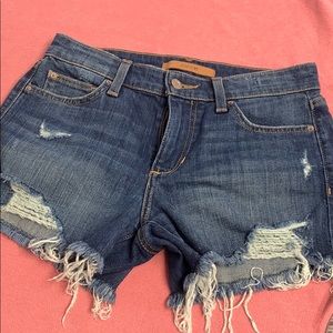 Brand new denim shorts